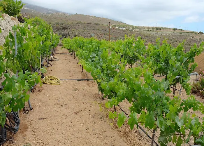 Estate In La Sabina With Private Pool * Arico