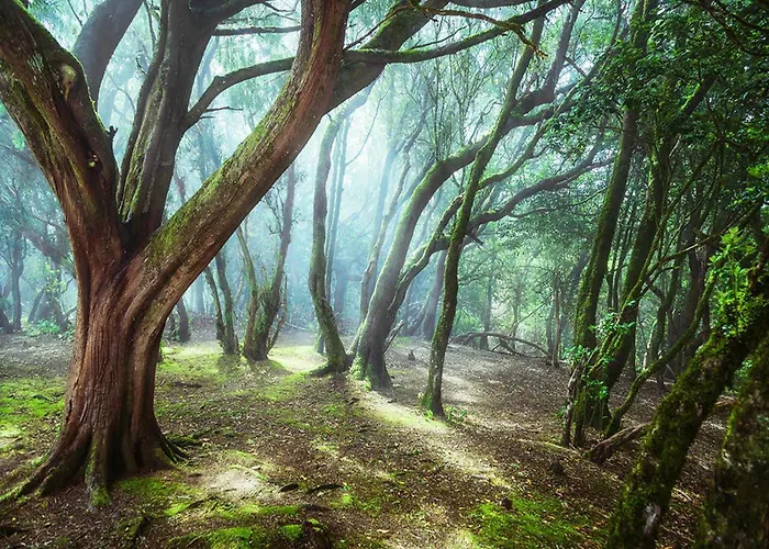 Estate In La Sabina With Private Pool * Arico